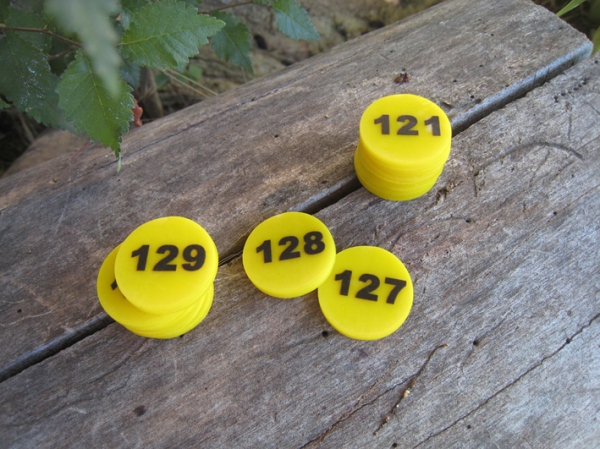 Plastic coin with numbers